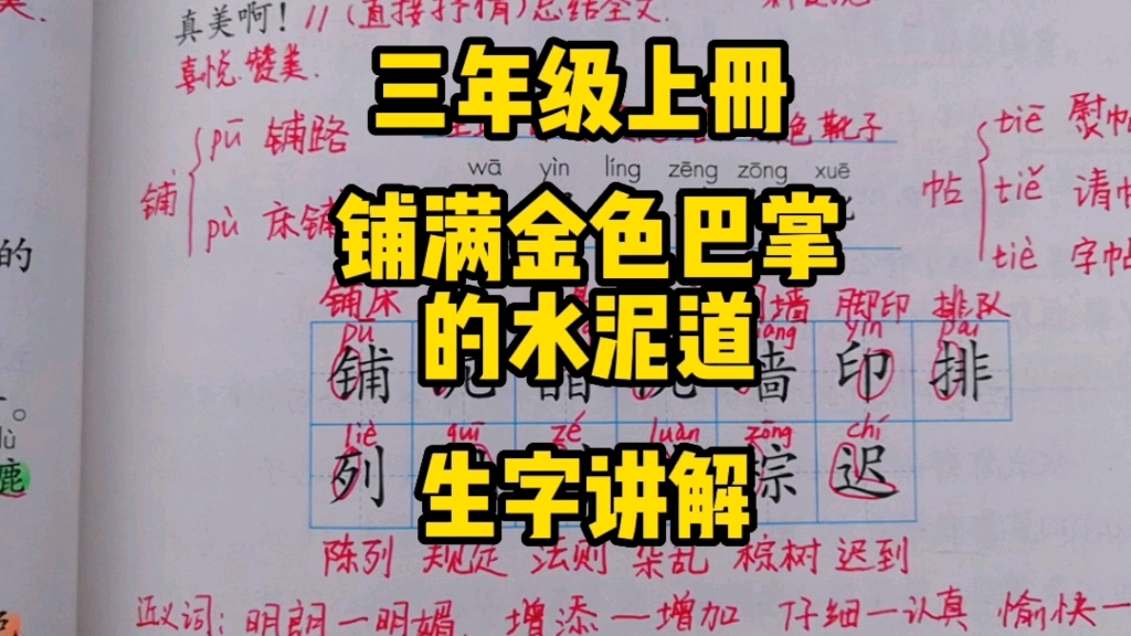 [图]三年级语文上册：《铺满金色巴掌的水泥道》生字讲解，掌握好方法，轻松学生字！