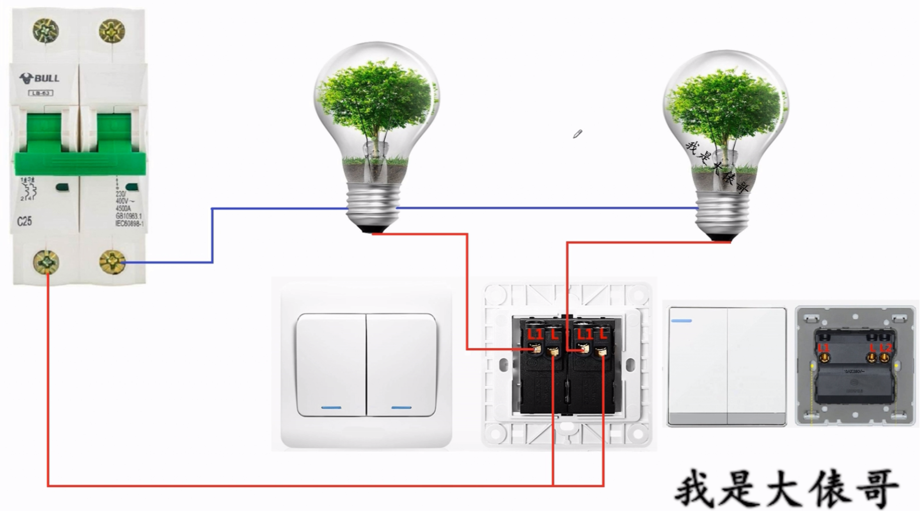 双控开关接两个灯图片