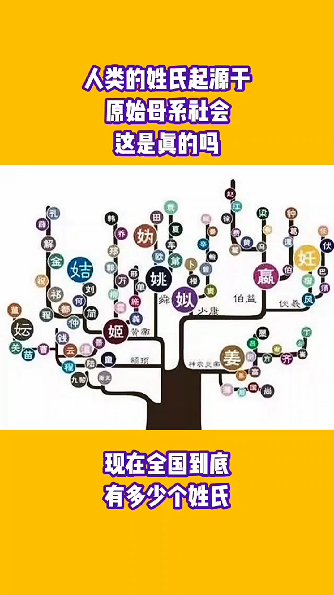 百家姓的起源哔哩哔哩bilibili