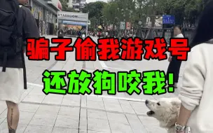 Video herunterladen: 骗子偷我游戏号，还放狗咬我！叫嚣：就一千块至于吗？！