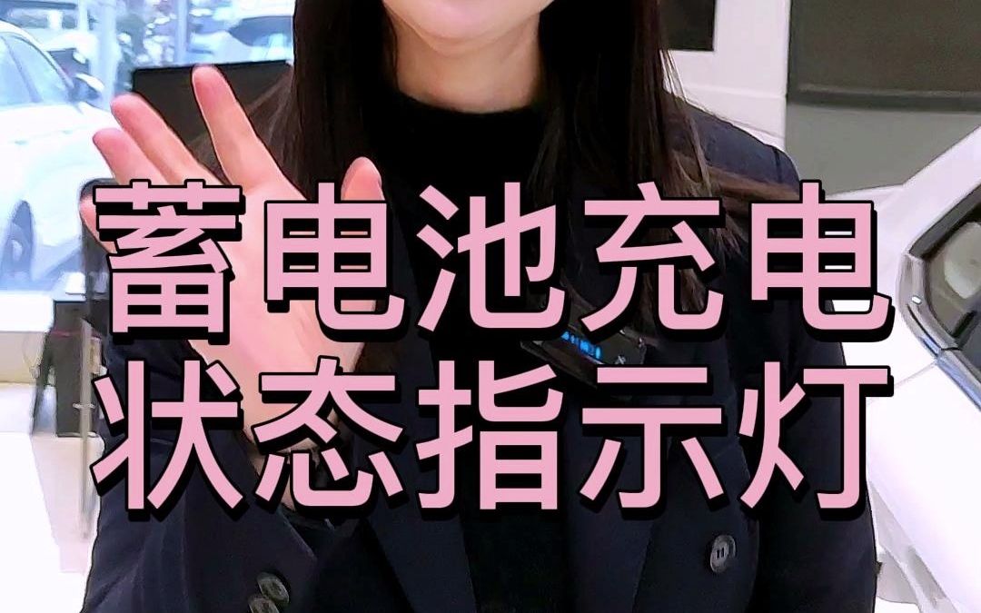 蓄电池充电状态指示灯