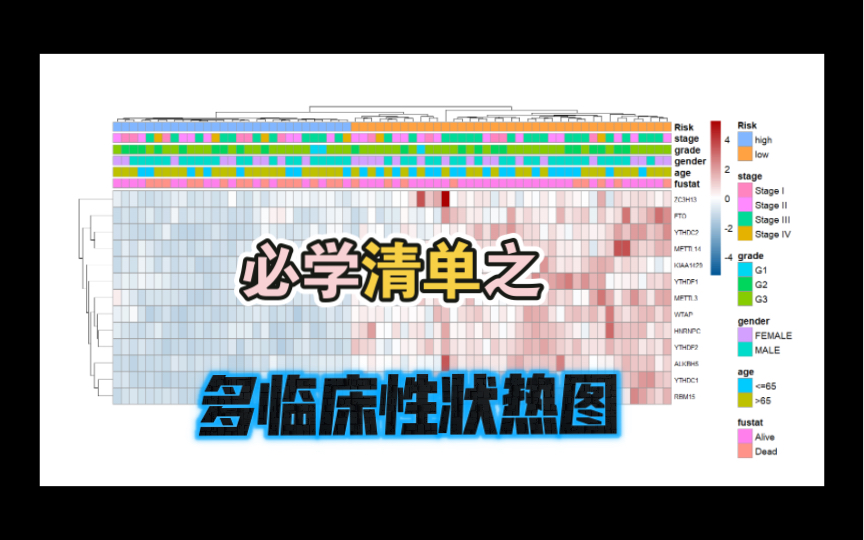 全网最详细的热图/R语言保姆级热图哔哩哔哩bilibili