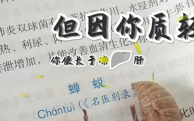 蝉(蝉蜕)诉,古人对蝉的认识哔哩哔哩bilibili