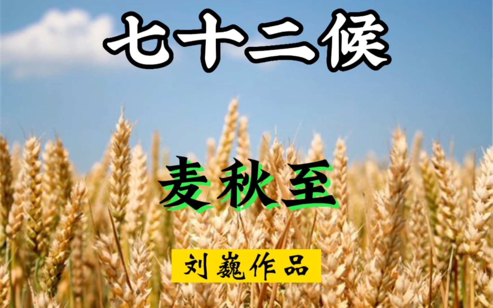 二十四节气七十二候小满三候——麦秋至