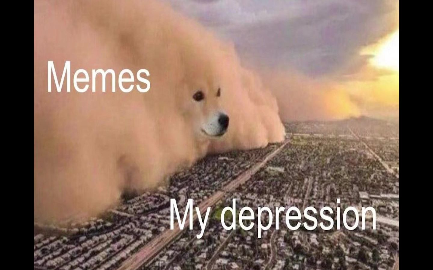 活动  【沙雕梗图/memes】#1 垂死病中惊坐起,闲来无事看memes