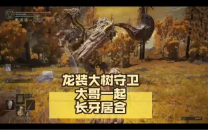 Video herunterladen: 艾尔登法环-龙装大树守卫 长牙居合 大哥一起