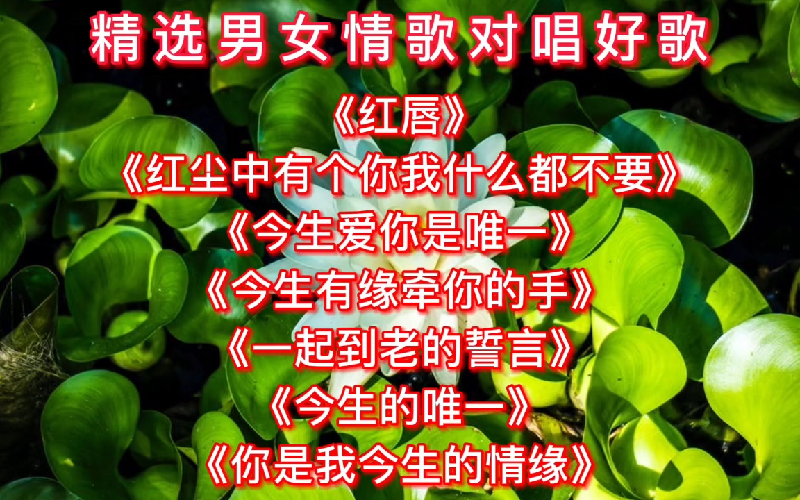 精选男女情歌对唱好歌《红唇》《红尘中有个你我什么都不要》