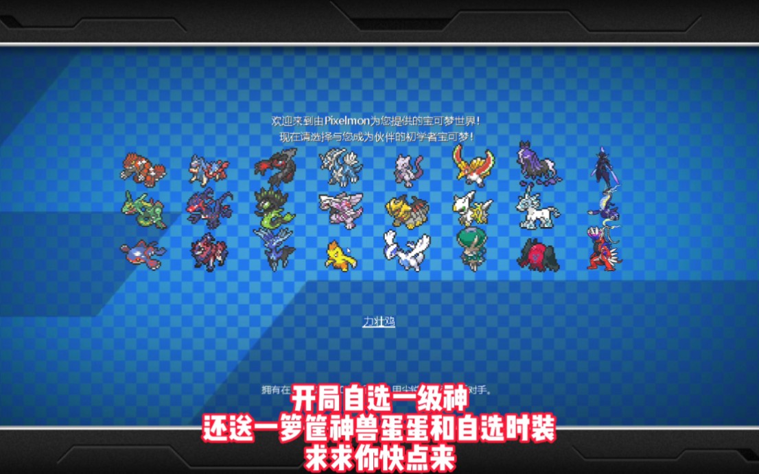 【小栈277】最新视频来袭,快来看看吧!