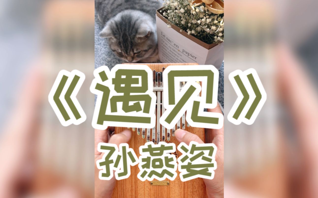 【拇指琴/卡林巴】小治愈!孙燕姿《遇见》单音版_哔哩哔哩_bilibili