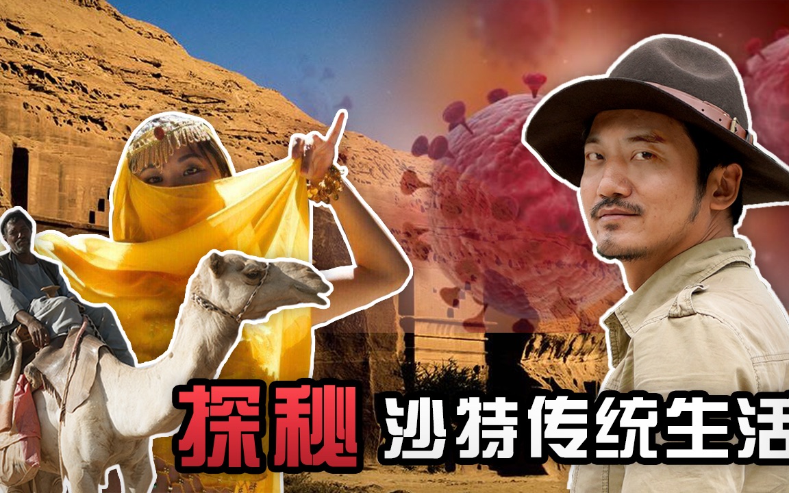 冒险雷探长第233集见不到新娘的沙特阿拉伯土豪婚礼