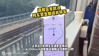 Télécharger la video: 高铁列车正常运行中突然紧急制动，感觉刹车片都摩出火花了