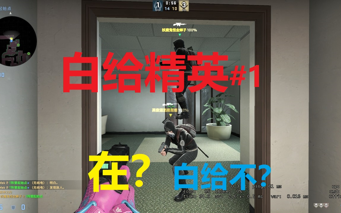 csgo针不戳白给针不戳
