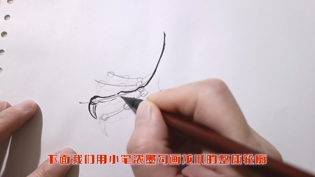 雅轩手把手教你画龙爪,快来学一学吧