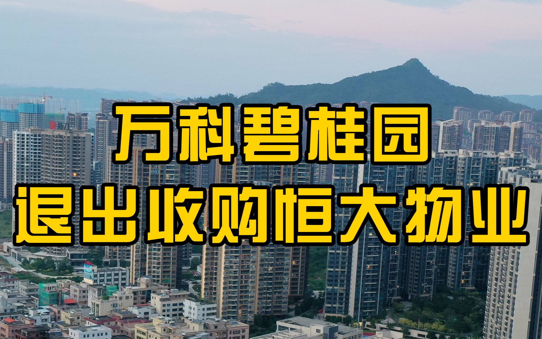 万科、碧桂园均与恒大物业洽谈过,但目前暂已退出收购哔哩哔哩bilibili