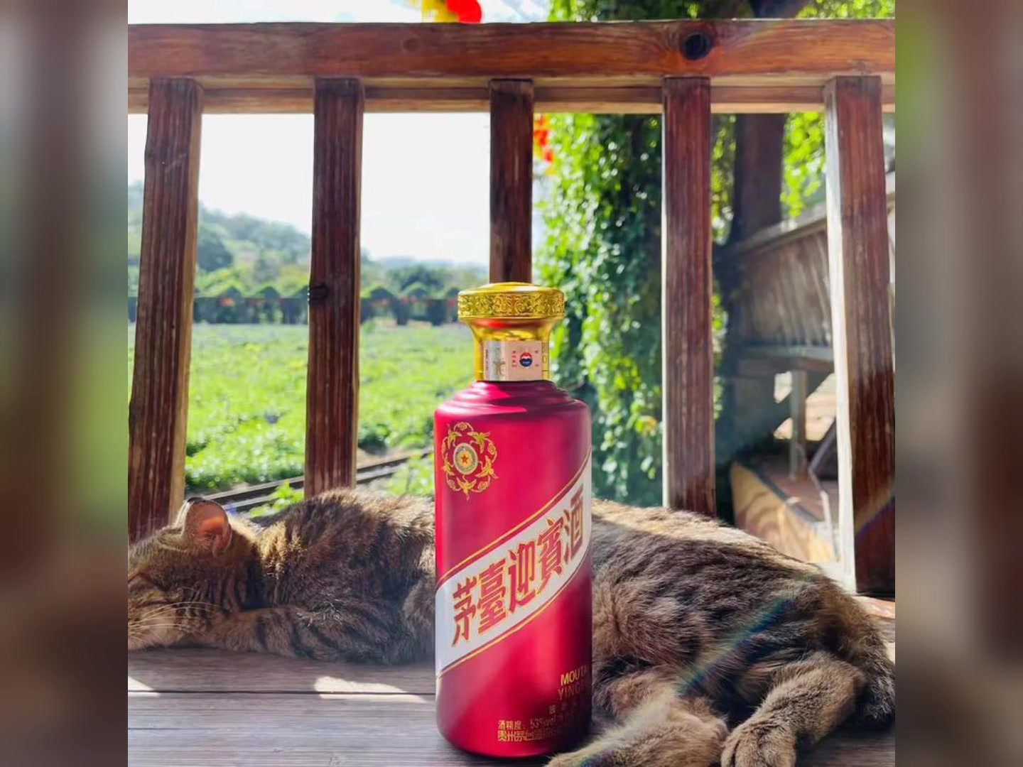 茅台迎宾酒 迎宾迎天下(有酒瓶)111秒(完整版)