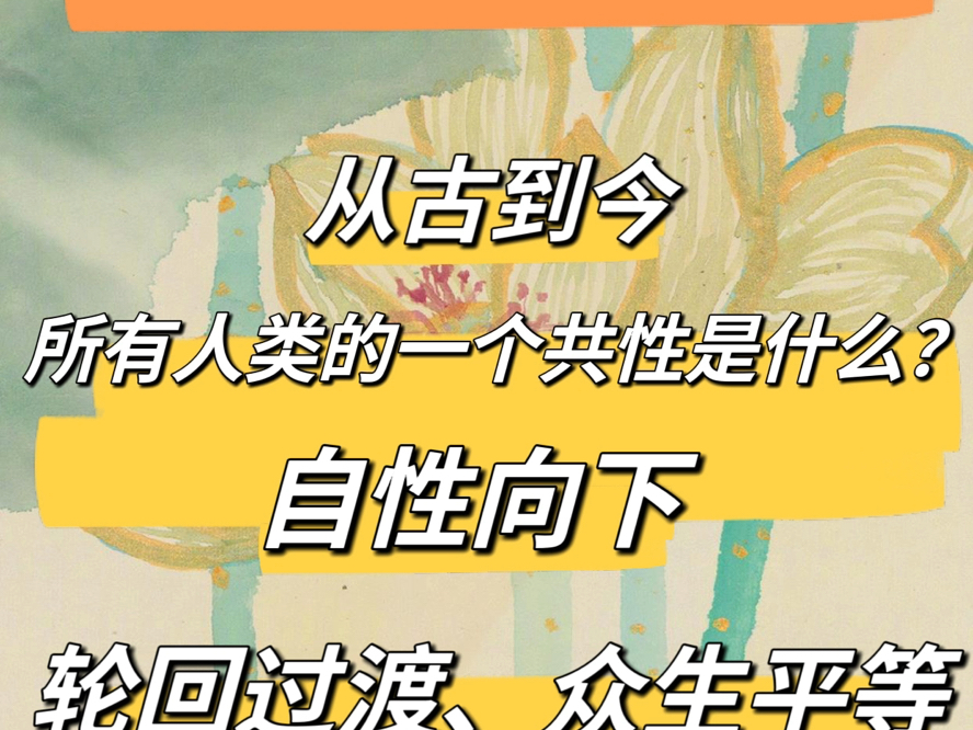 从古到今,所有人类的一个共性问题是什么?(自性向下). 轮回过渡、众生平等哔哩哔哩bilibili