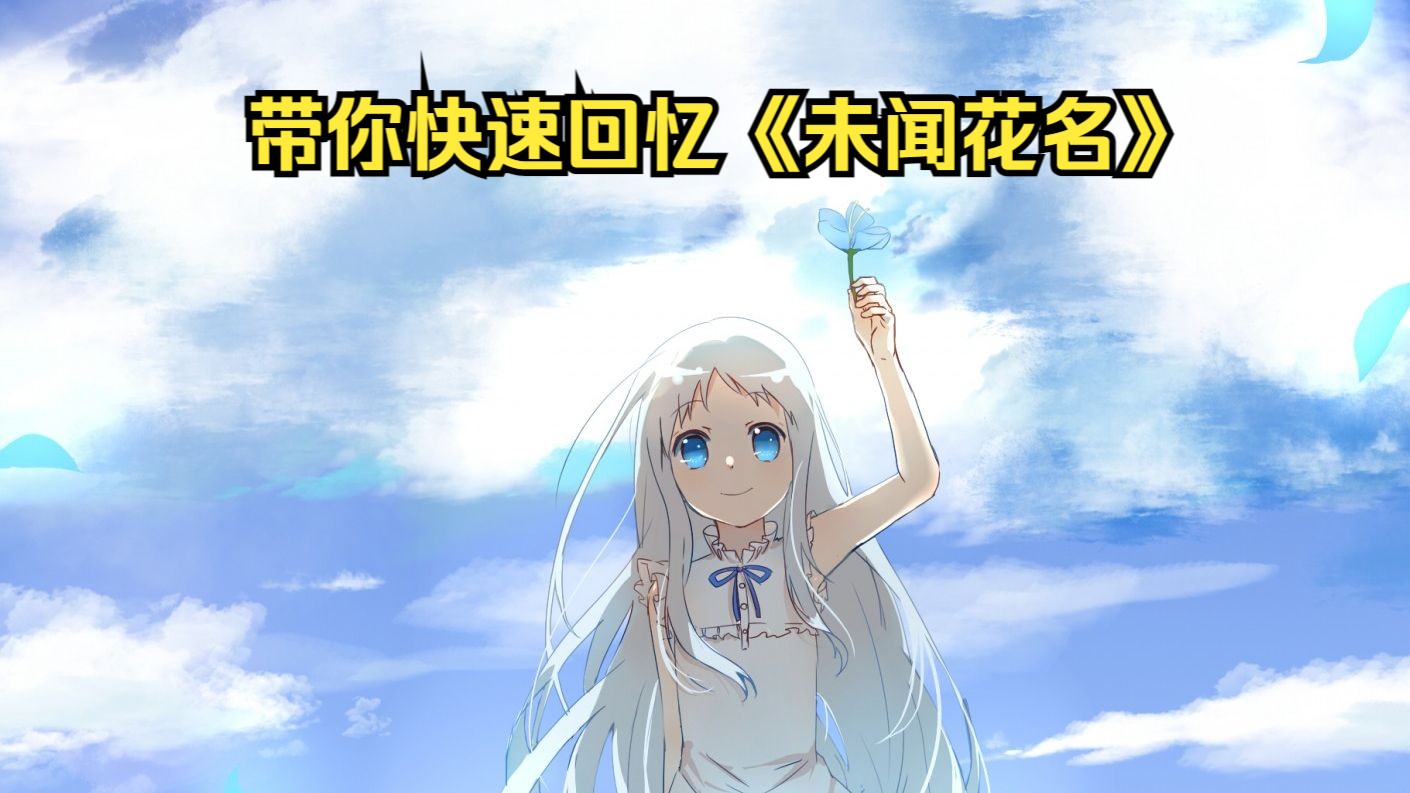 【我们仍未知道那天所看见的花的名字】“没有人能笑着看完未闻花名”如果有来生就在哭一起吧