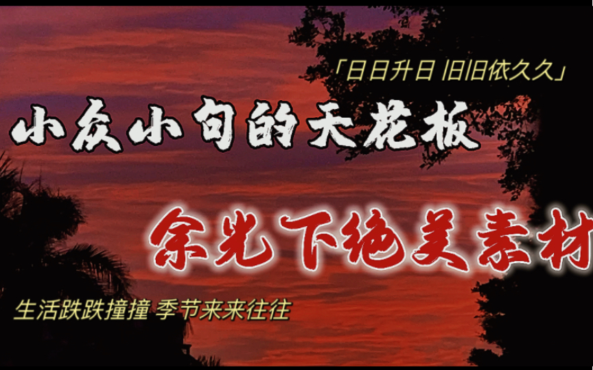 “日日升日,旧旧依久久.” 绝美作文素材哔哩哔哩bilibili