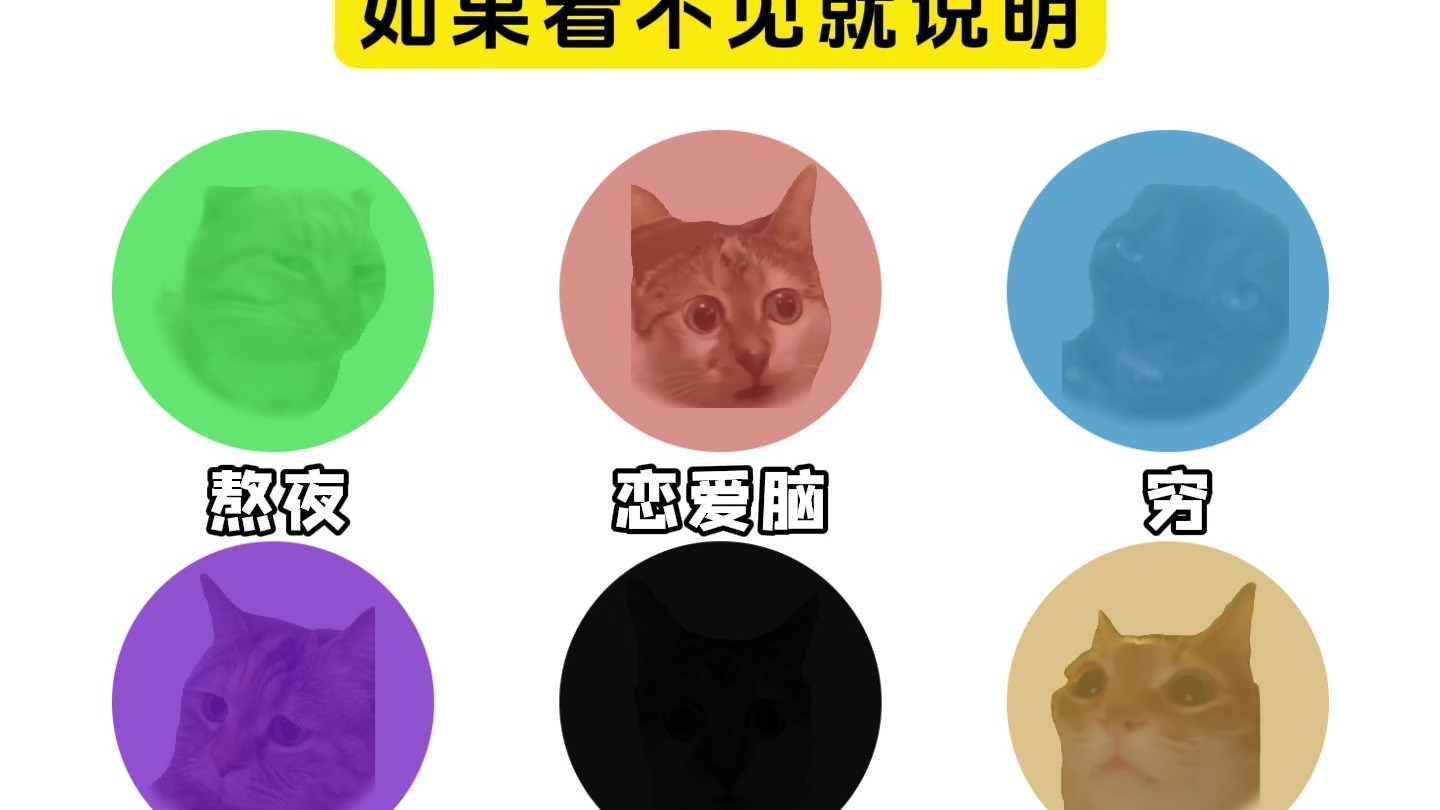 如果看不见就说明你...