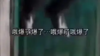 整天无所事事的疯狂网左们