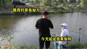 Video herunterladen: 偶得秋钓草鱼小秘招，今天拿出来试试，看看效果怎么样