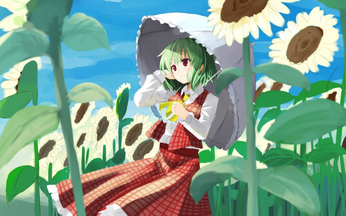 花映冢lunatic 风见幽香