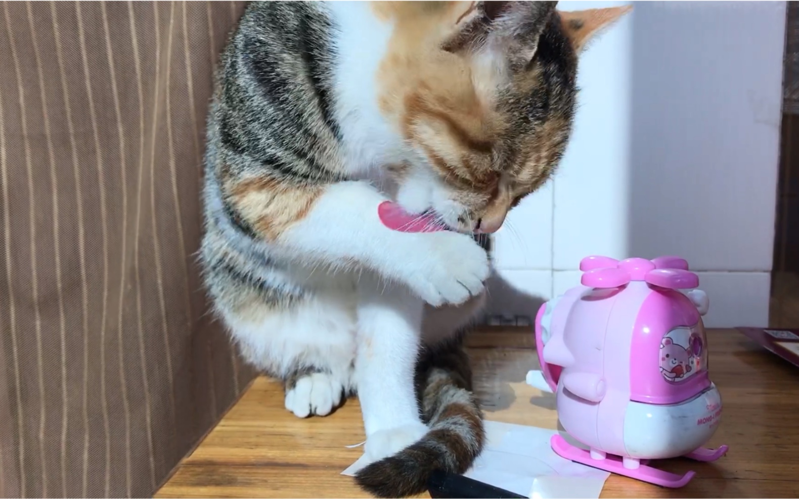 小花猫的洗脸秀,整整五分钟_哔哩哔哩_bilibili