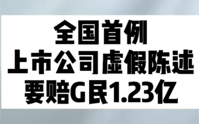 全国首例上市公司虚假陈述,要赔Gu民1.23亿!哔哩哔哩bilibili