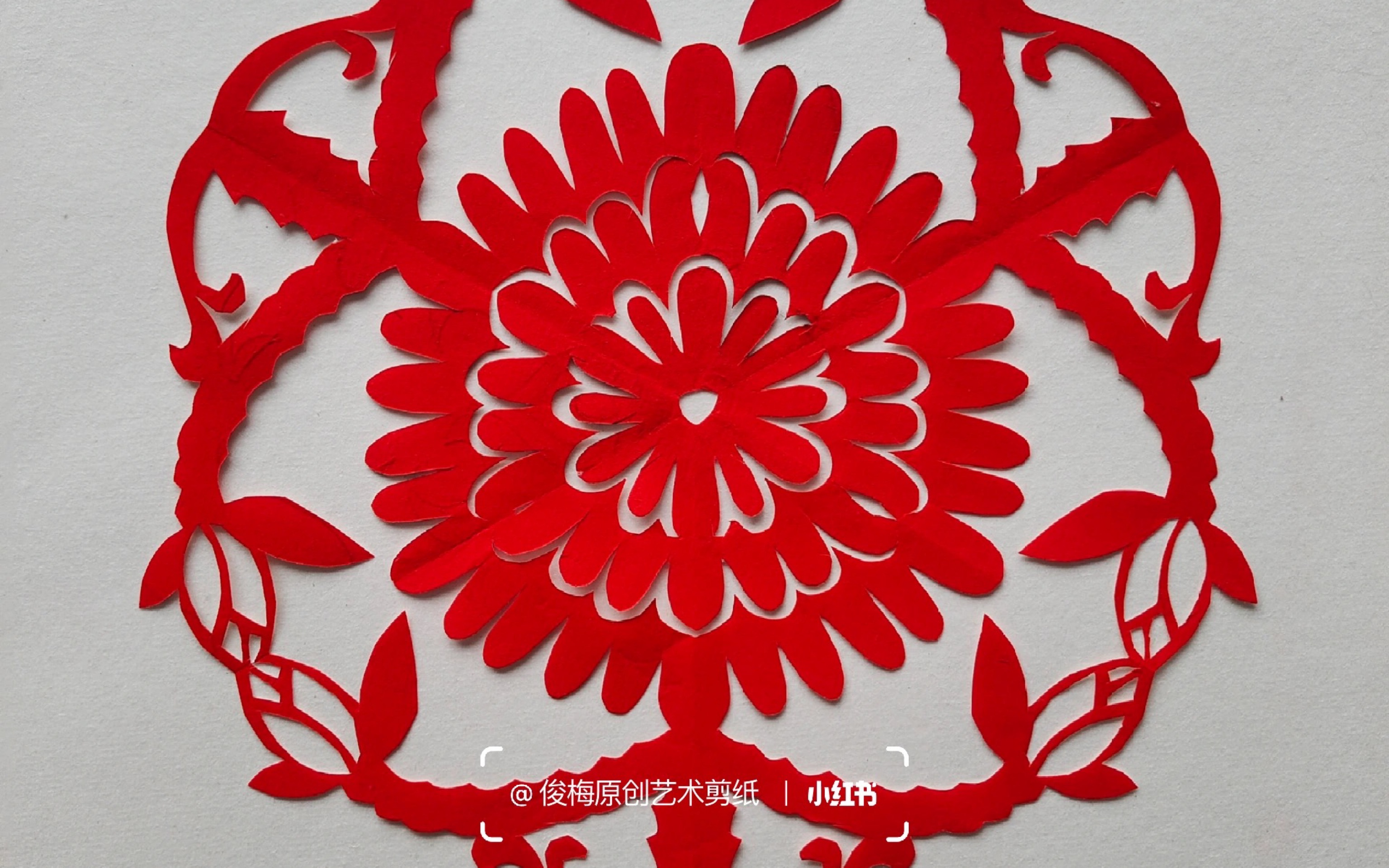 每日一剪|三折团花