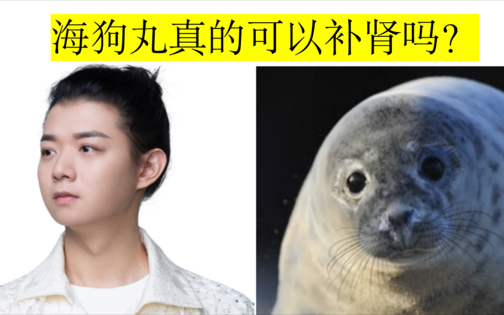 从中医的角度梳理了霍尊海狗丸事件相关的9个问题