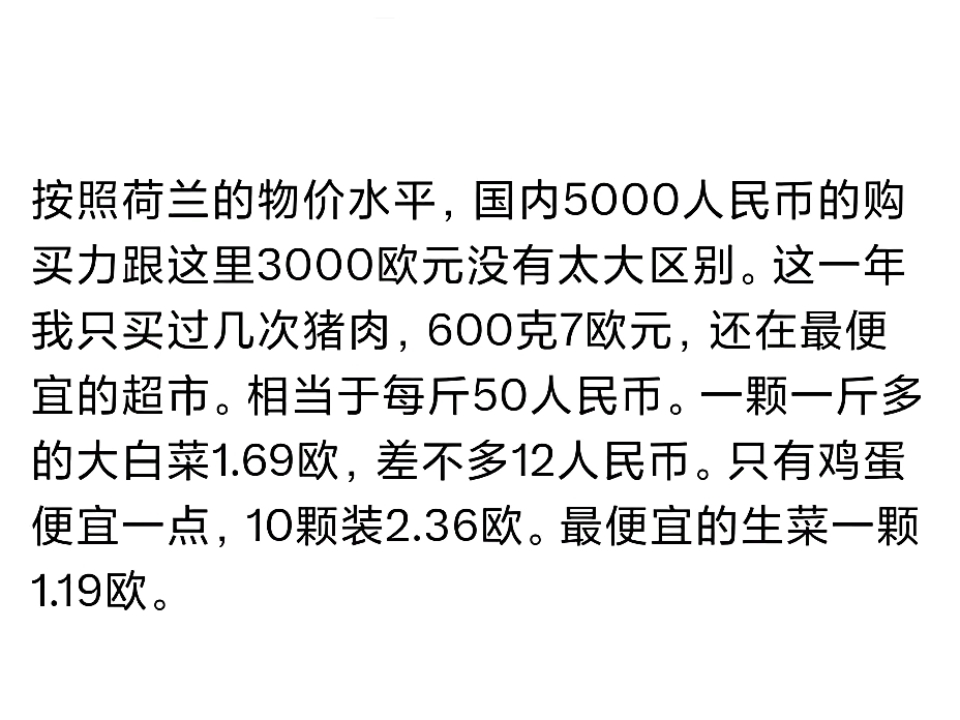 国内5000人民币的购买力跟荷兰的3000欧元没有太大区别?哔哩哔哩bilibili