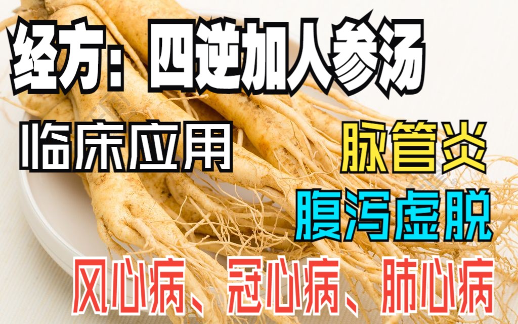 四逆加人参汤的临床应用哔哩哔哩bilibili