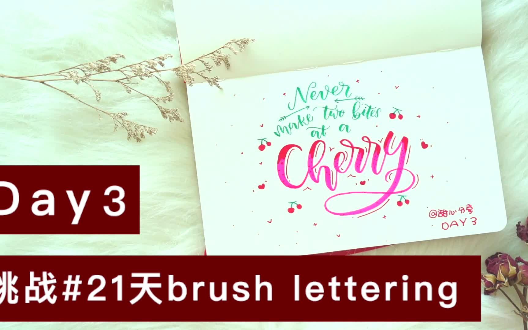 [图]【甜心brush lettering#6】教程 | 手写英文花体 | 派通touch | 蜻蜓双头笔刷 | Moleskine |甜心分享手写vlog