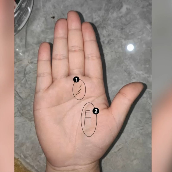 玉掌流手相大全 玉掌流手相大全 Amazon.co.jp: 玉掌流手相大全 : 佐藤 六龍,