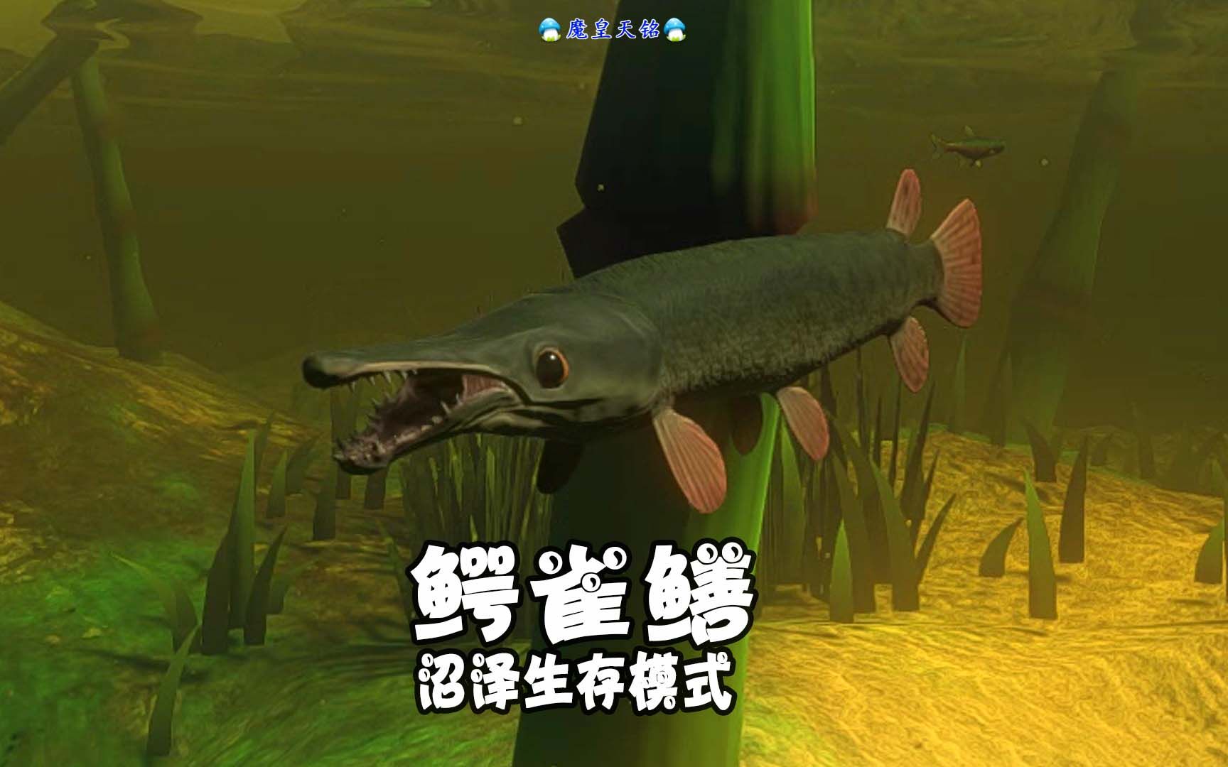 天铭 海底大猎杀 第二季 176 鳄雀鳝,沼泽生存模式!