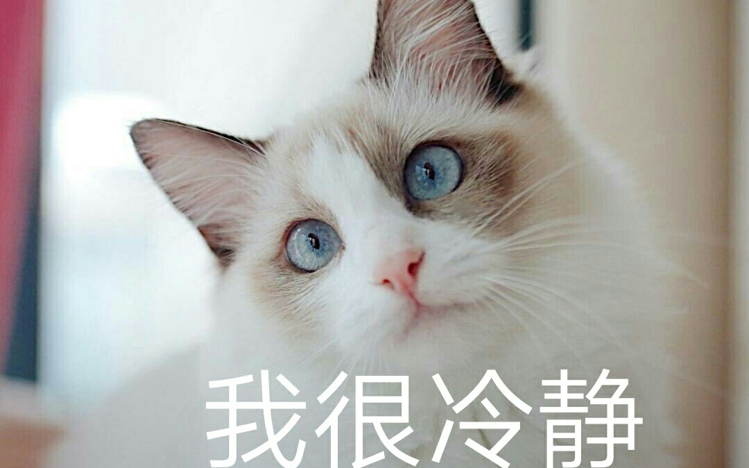 掘地求生 新人试玩 我很冷静