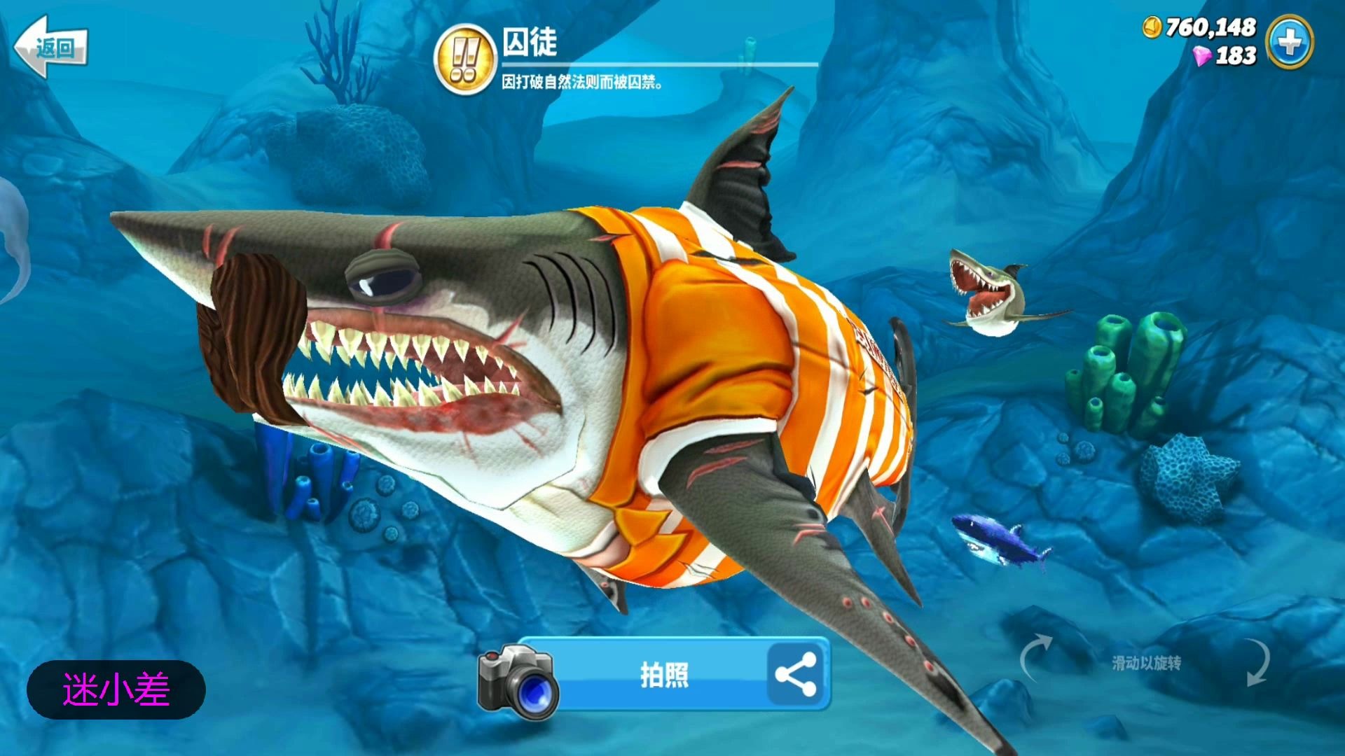 饥饿鲨世界解锁巨齿鲨图片