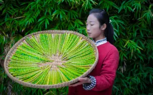 Tải video: 大山里的美味，手指头粗细的小竹笋遍地都是，拔得真过瘾。野小妹