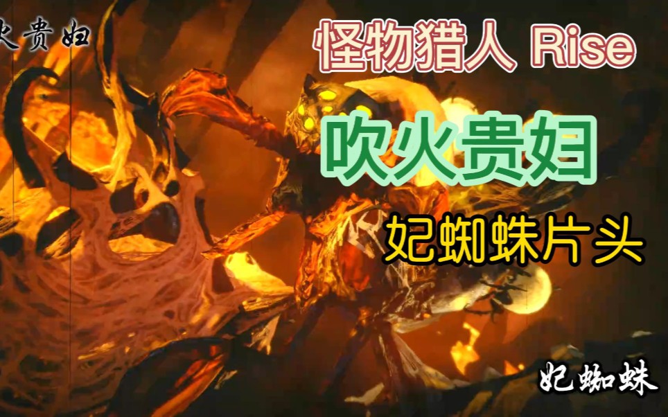 怪物猎人rise | 妃蜘蛛_哔哩哔哩bilibili
