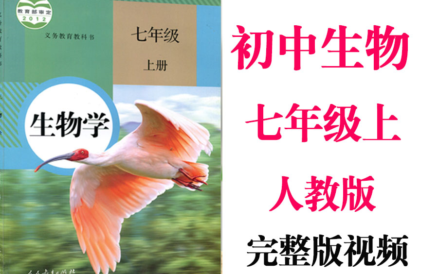 【初中生物】初一生物 七年级上册同步基础教材教学网课丨人教版 部编 统编 新课标 上下册初1 7年级丨2021复习+学习完整最新版视频哔哩哔哩bilibili