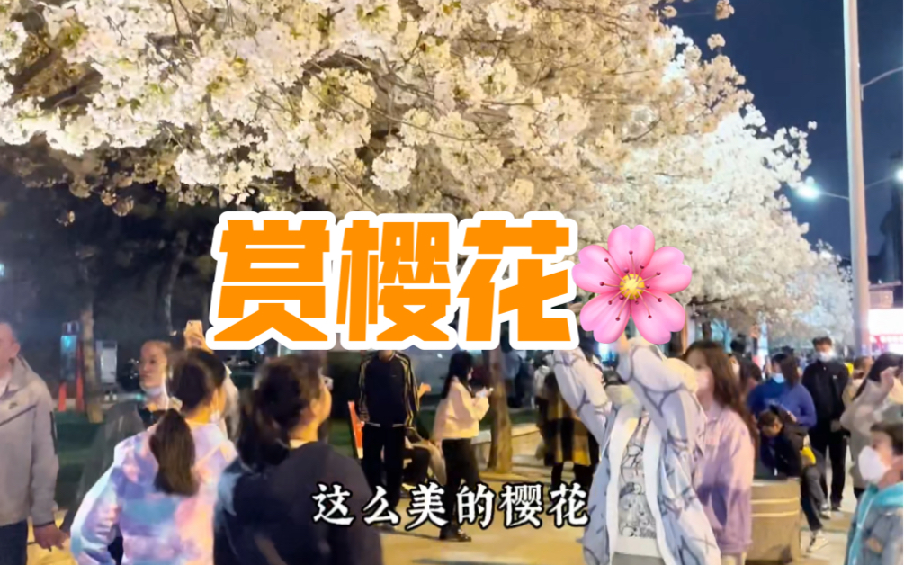 [图]见面吧，在樱花盛开的季节🌸