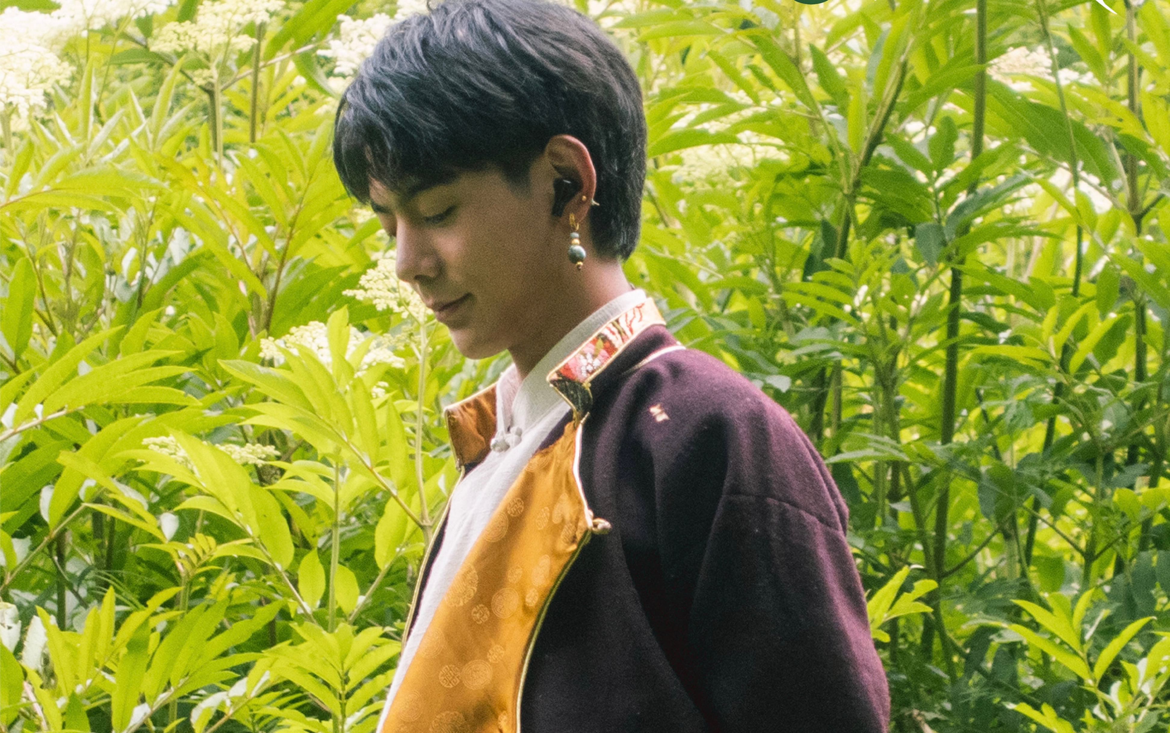 丁真《再唱山歌给党听》合集