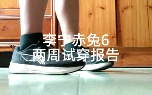 Download Video: 李宁赤兔6体验报告