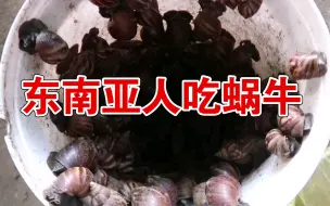 Tải video: 知道东南亚人为什么喜欢吃【蜗牛】吗？答案就在这里