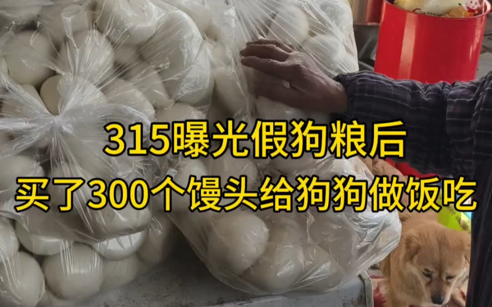 [图]315曝光假狗粮后买了300个馒头给狗狗做饭吃