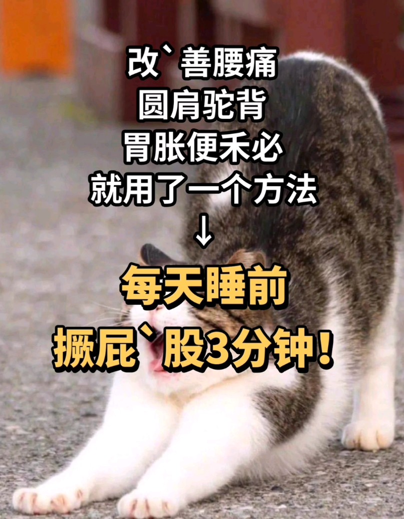 腰痛,圆肩驼背…就用一个方法改,善