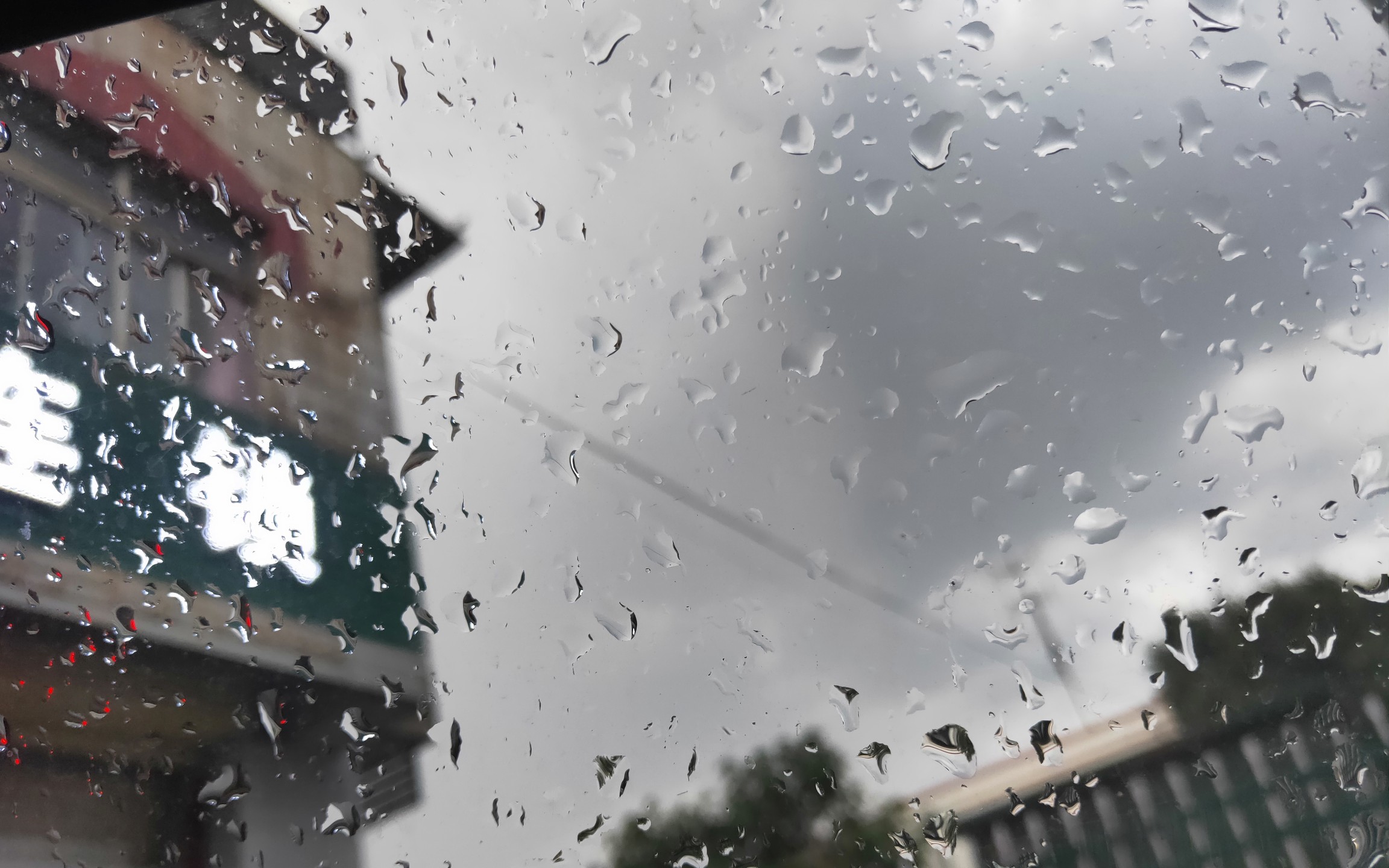 [图]帘外雨潺潺 春意阑珊