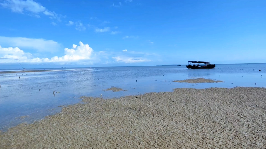 湛江遂溪县杨柑镇薄寮赶海(第一次赶海)