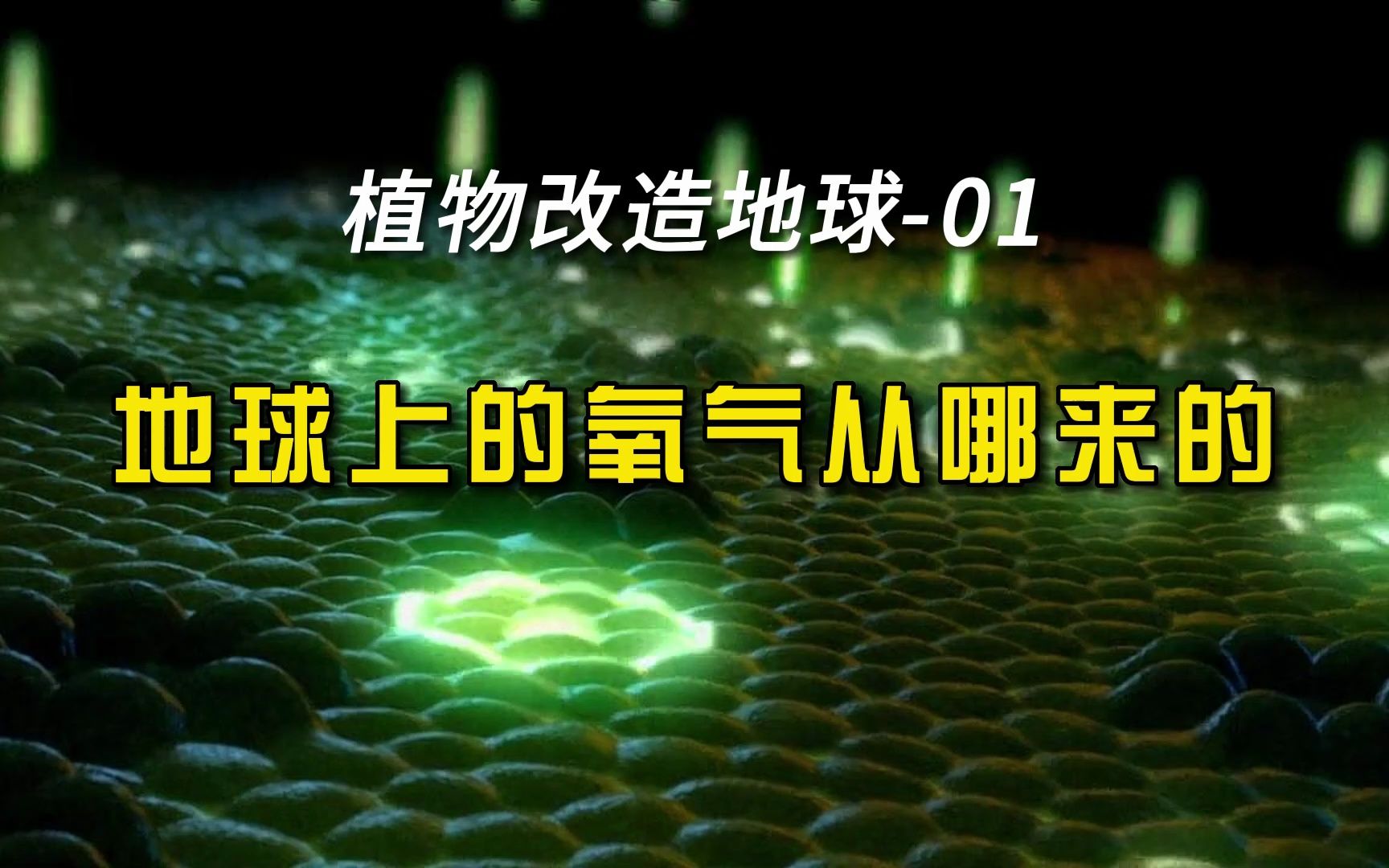 地球上的植物从哪来?光合作用是如何产生氧气的?