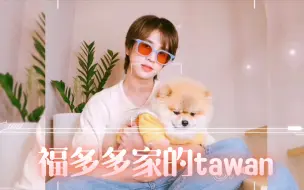 Download Video: 【ohmfluke】福多多家的萌犬tawan